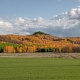 СЕНГИЛЕЕВСКИЙ РАЙОН. Камиль Багаутдинов. Шиловская шишка